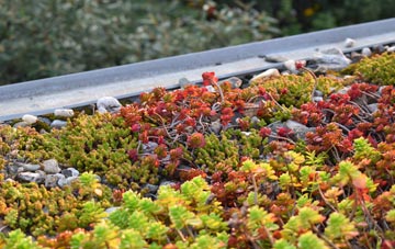 the cost of Dargate Common green roof installation