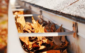 Dargate Common gutter cleaning companies