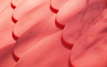 Dargate Common plastic roof costs