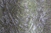 Dargate Common fibreglass roof work